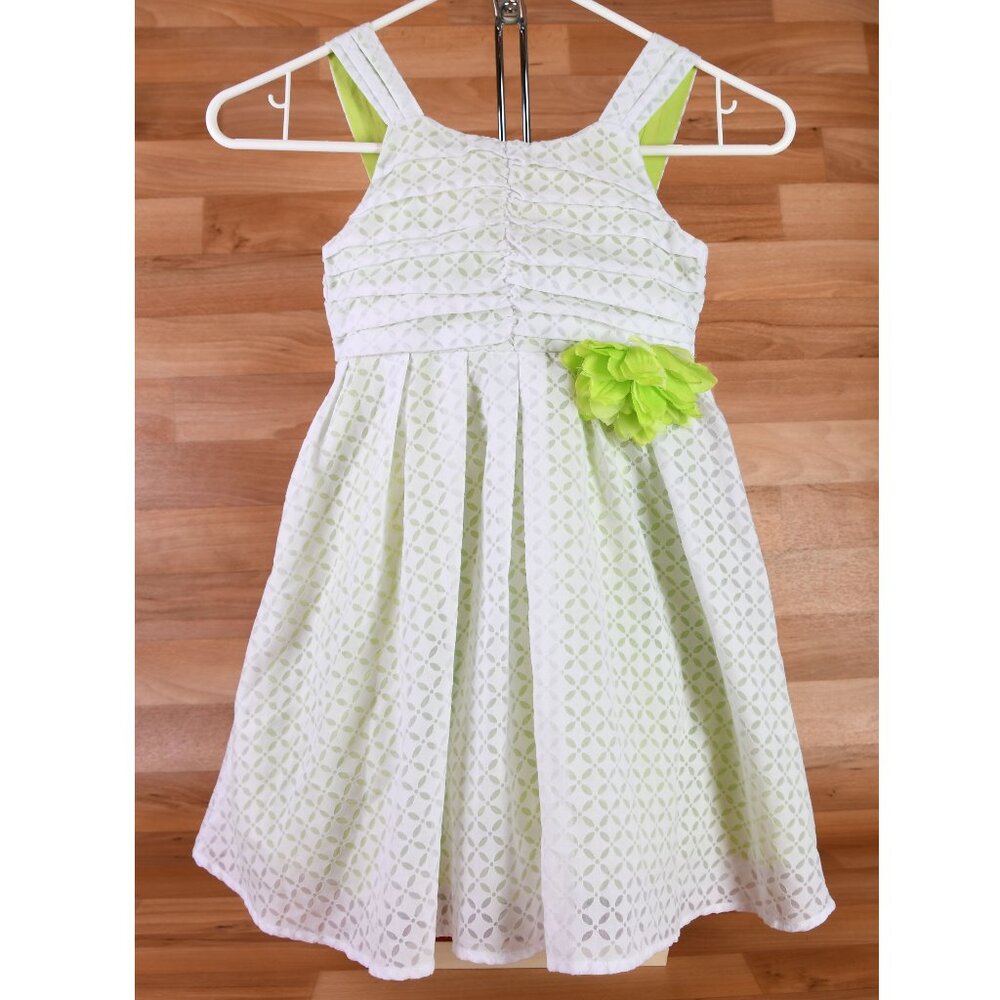 Sweet Heart Rose Girls size 5 dress